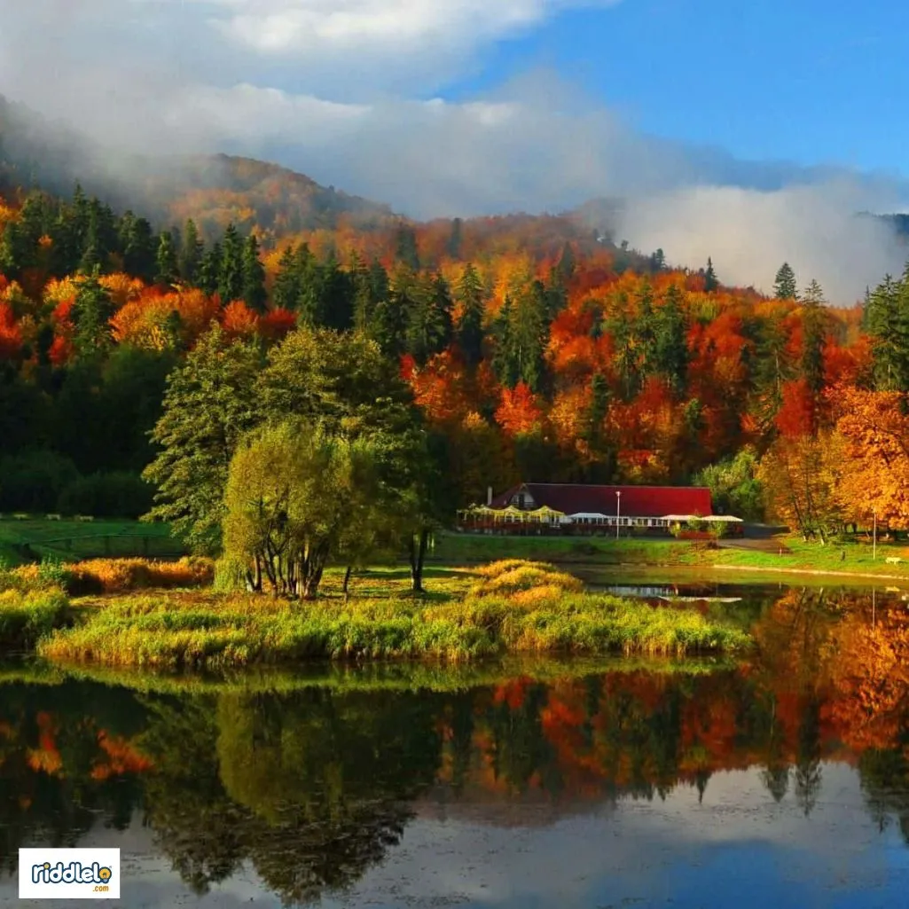 Autumn Riddles with Answers