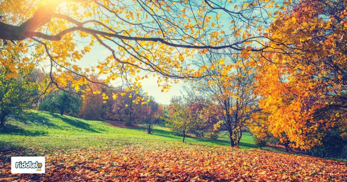 115+ Autumn-Themed Riddles to Spice Up Your Fall Season