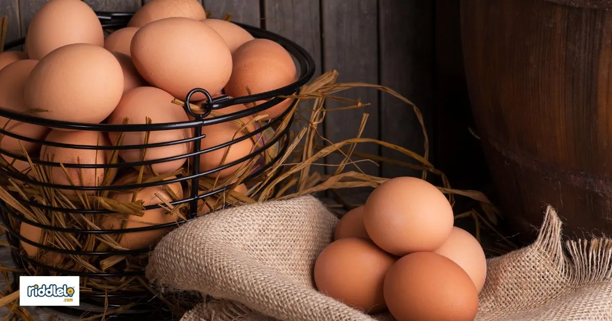 175+Egg Riddles to Stump Your Brain!