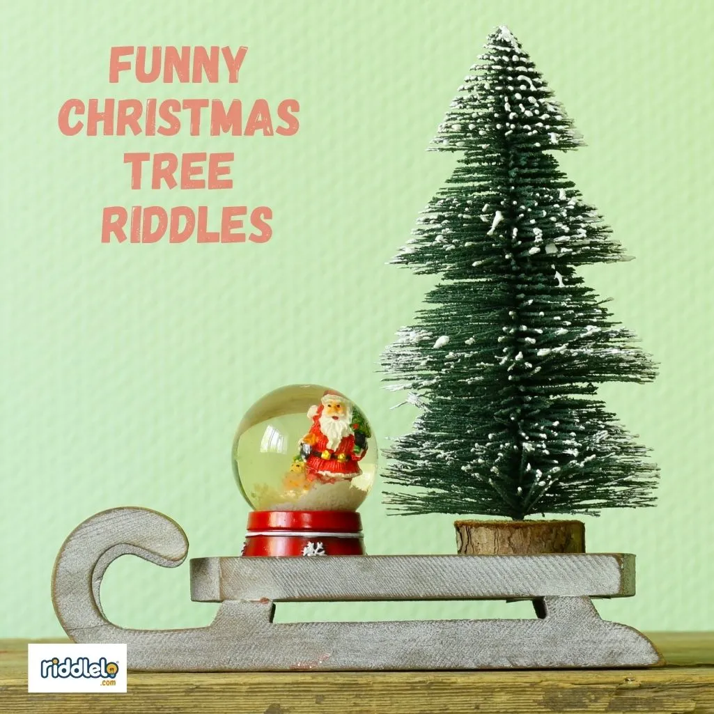 Funny Christmas Tree Riddles