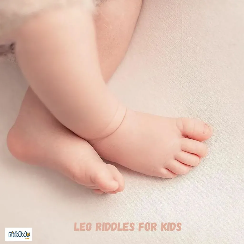 Leg Riddles for Kids