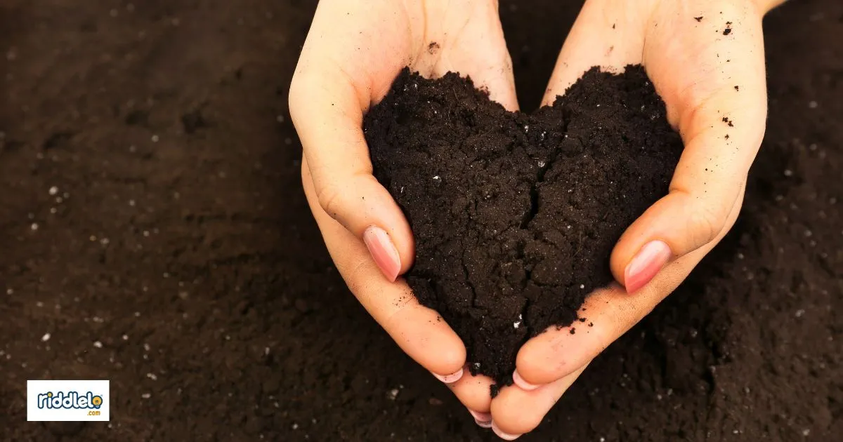 110+Soil Puns That Will Grow on You Dirt-y but Funny