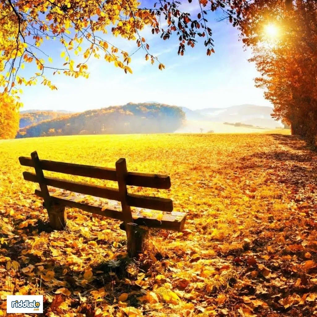Clever Autumn Pickup-lines