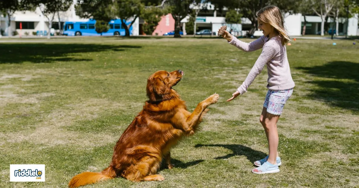Dog Rizz Lines