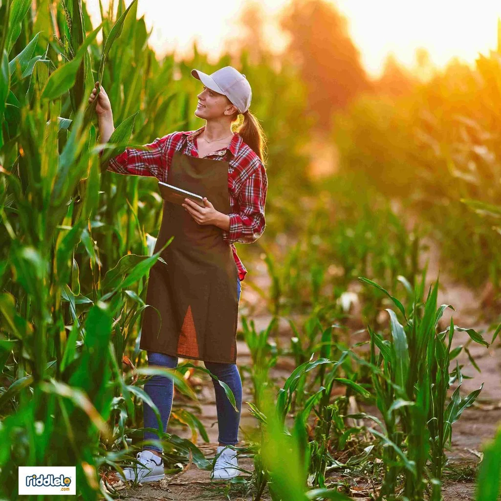 Farmer
