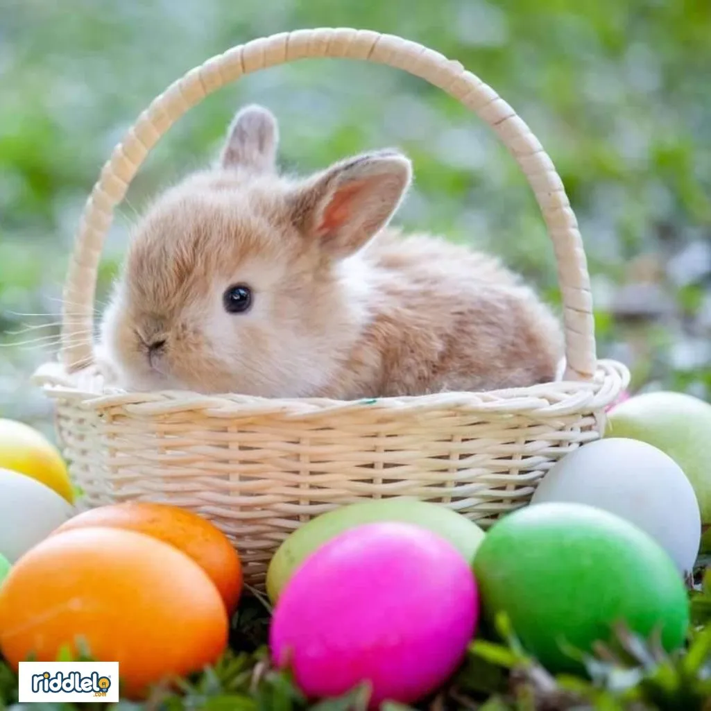 Hard Easter Riddles