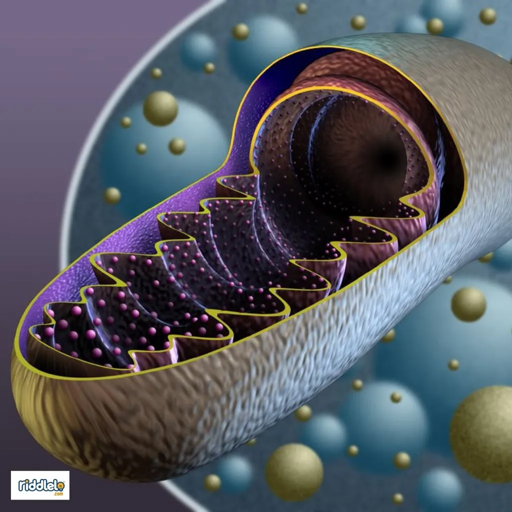 Mitochondria Pick Up Lines