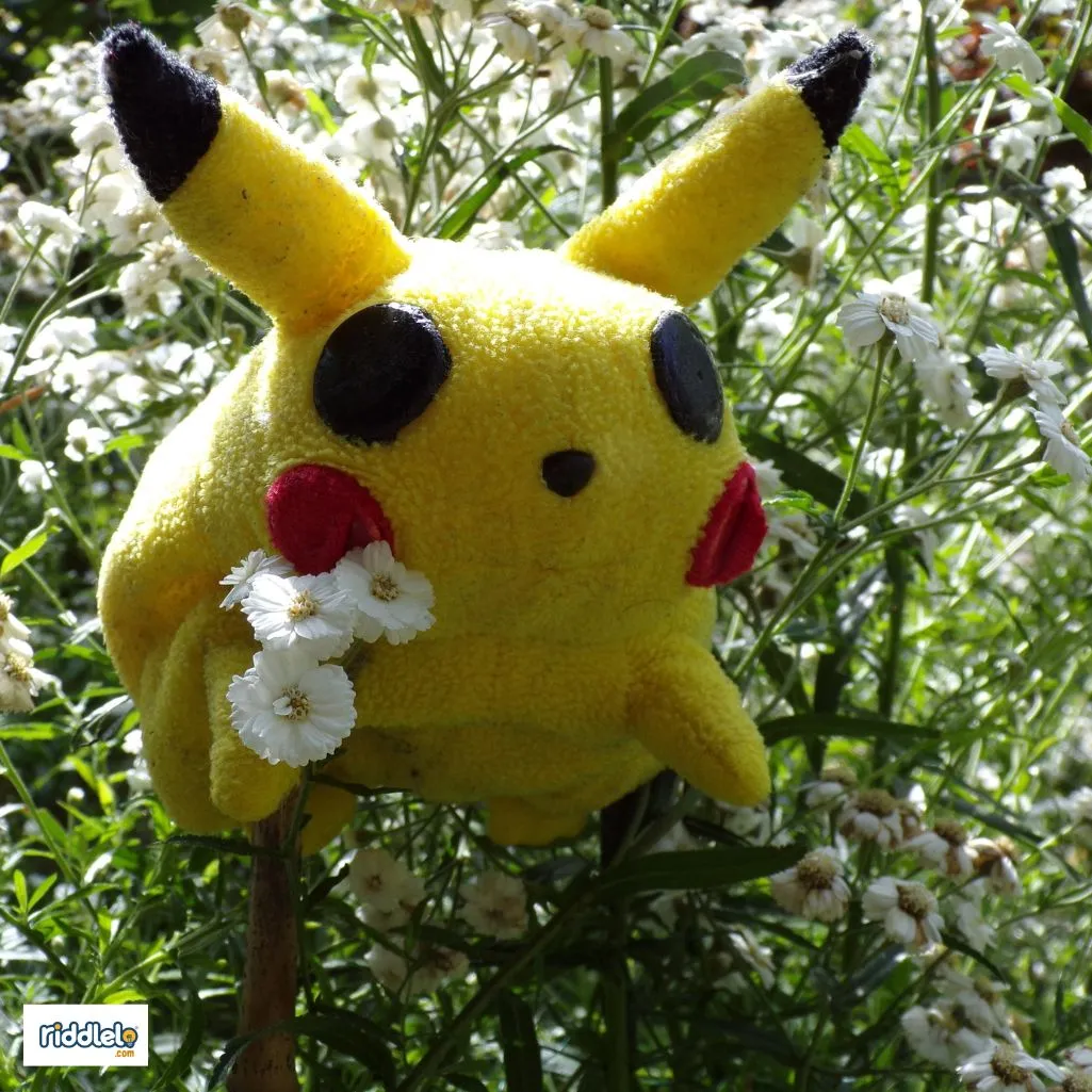 Pokemon Pickup Lines