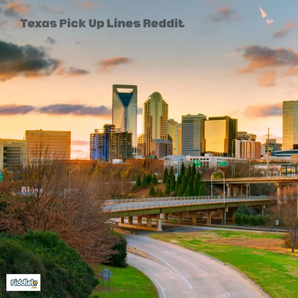 Texas Pick Up Lines Reddit